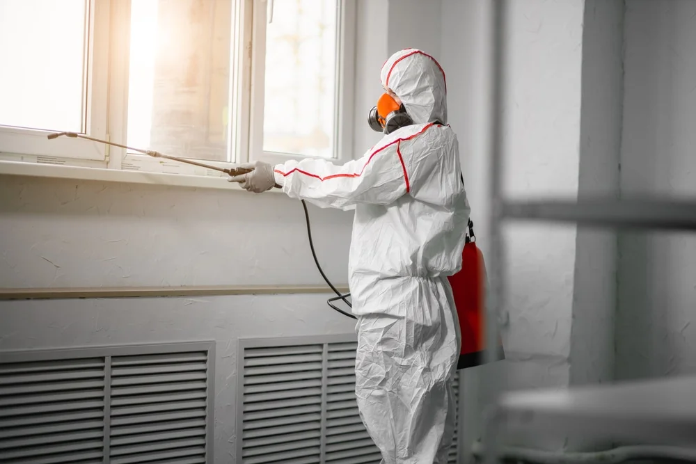 Professional mold remediation services in Jenks, OK